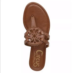 Circus by Sam Edelman sandals